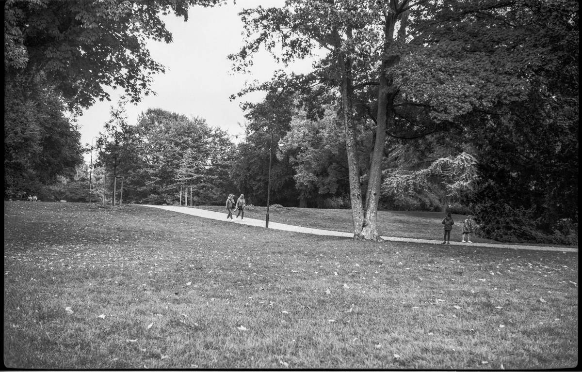 Two women walking the kids at the park